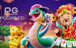 壹号娱乐2024最新版